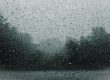 Pluie