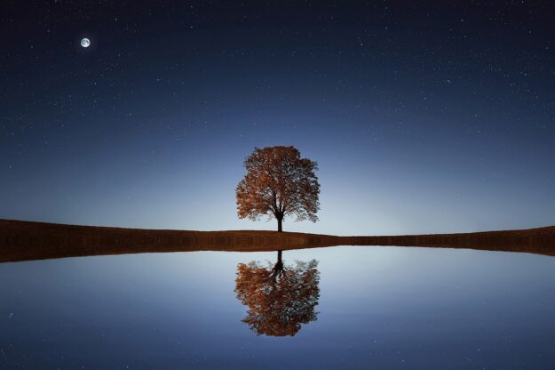 La solitude