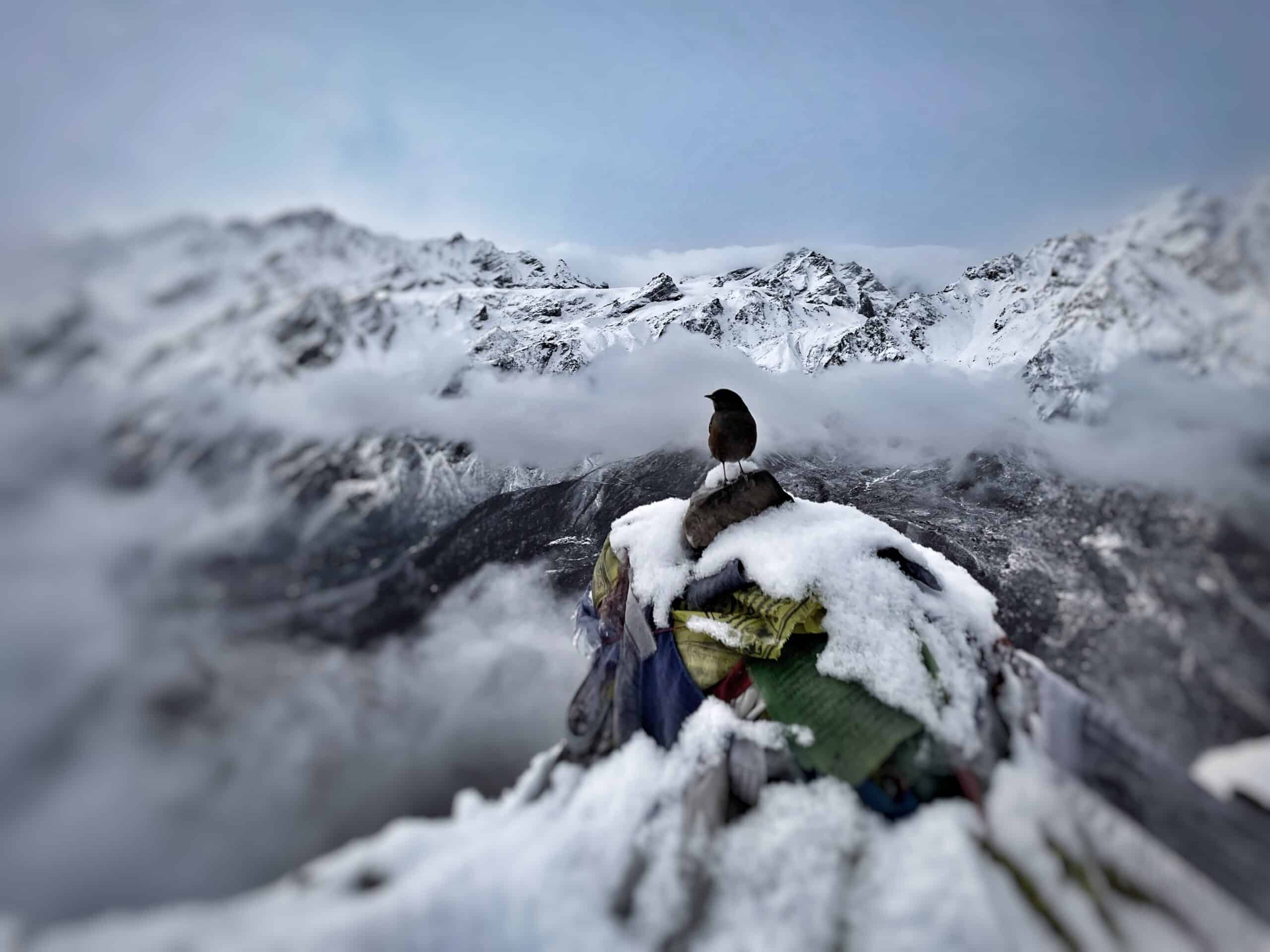 La solitude des décisions